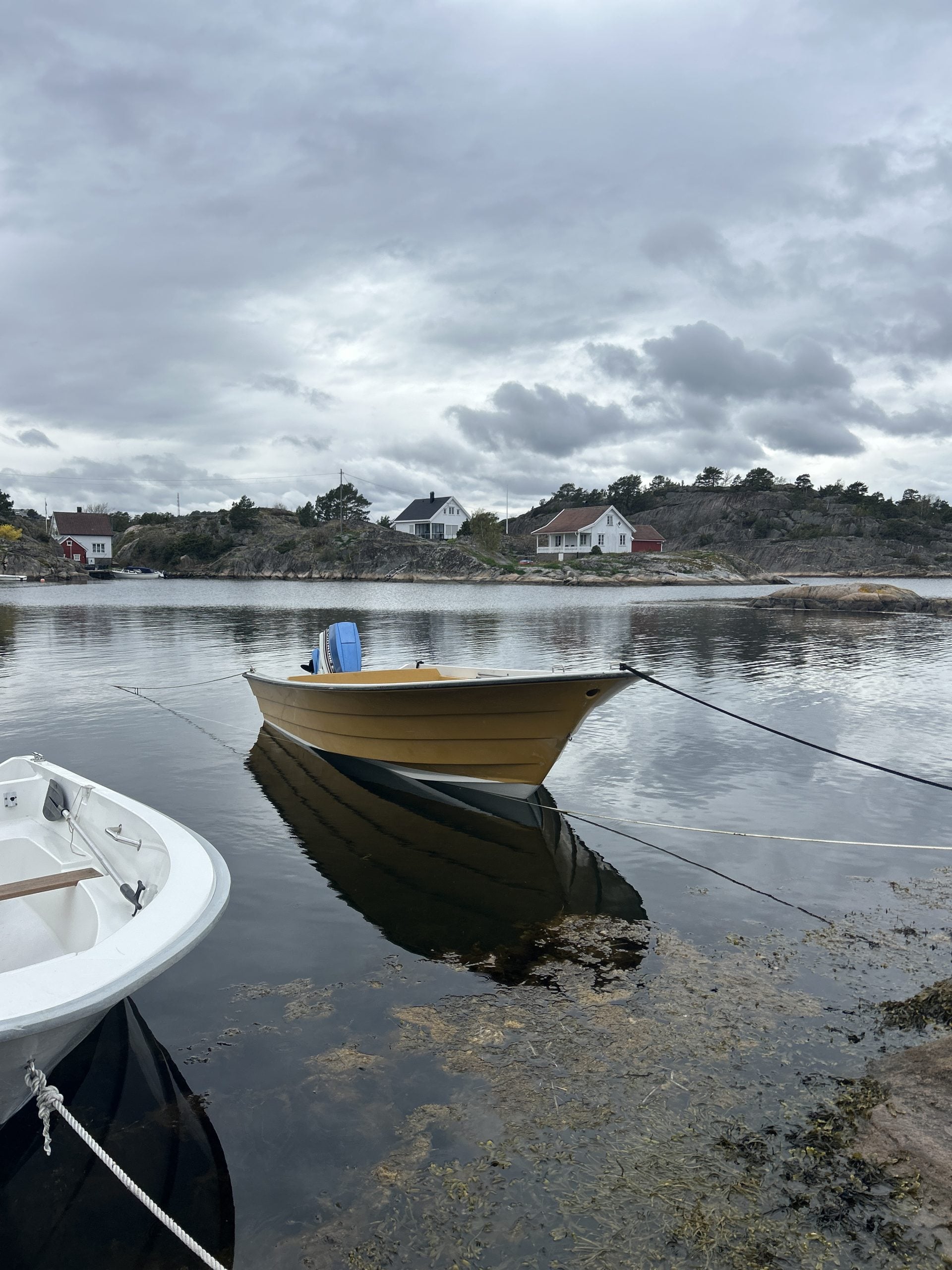 Wesling 16 fot open med Evinrude 75hk