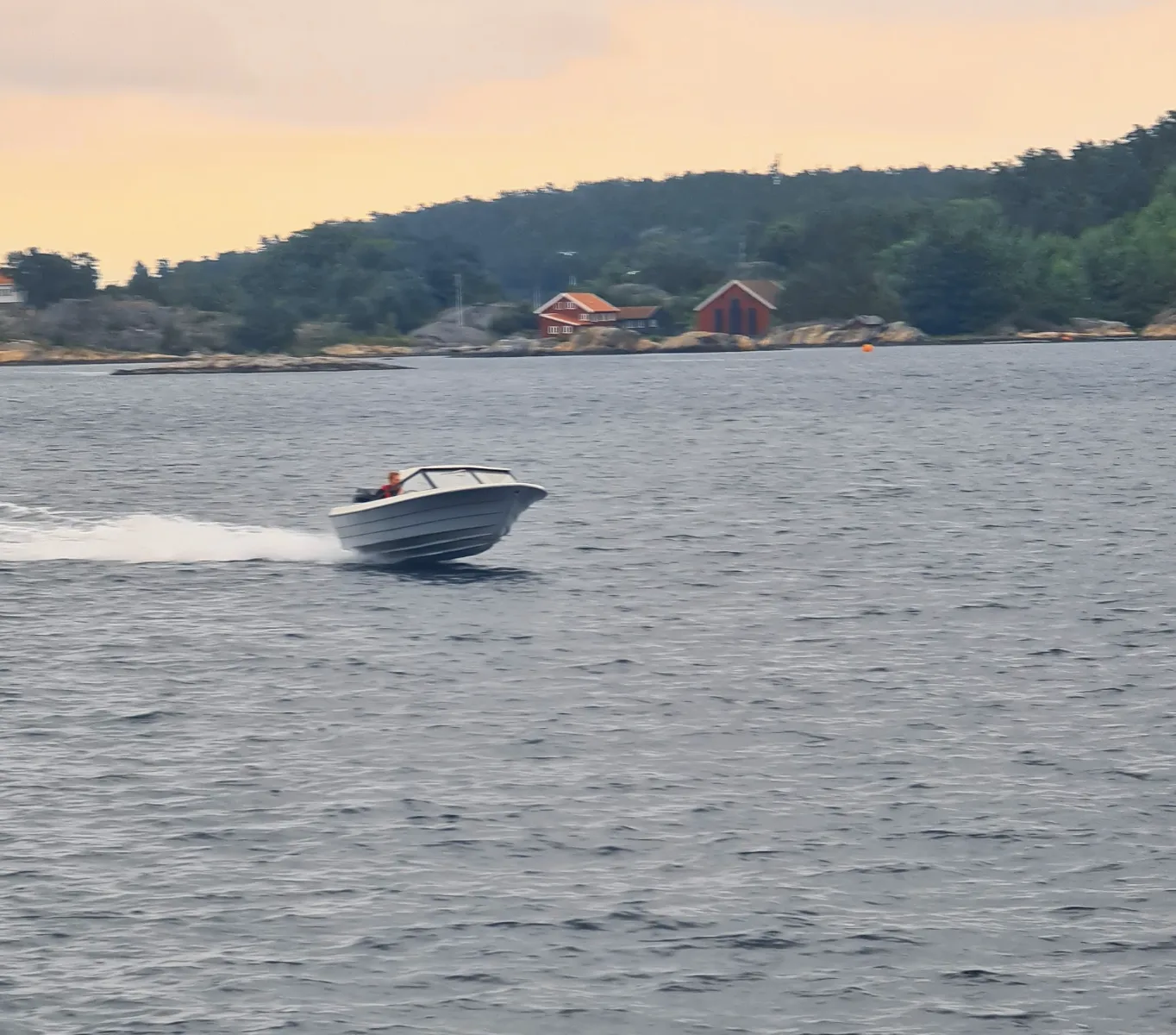 Det blir flere Linge -skapninger å se på fjorden i høy hastighet