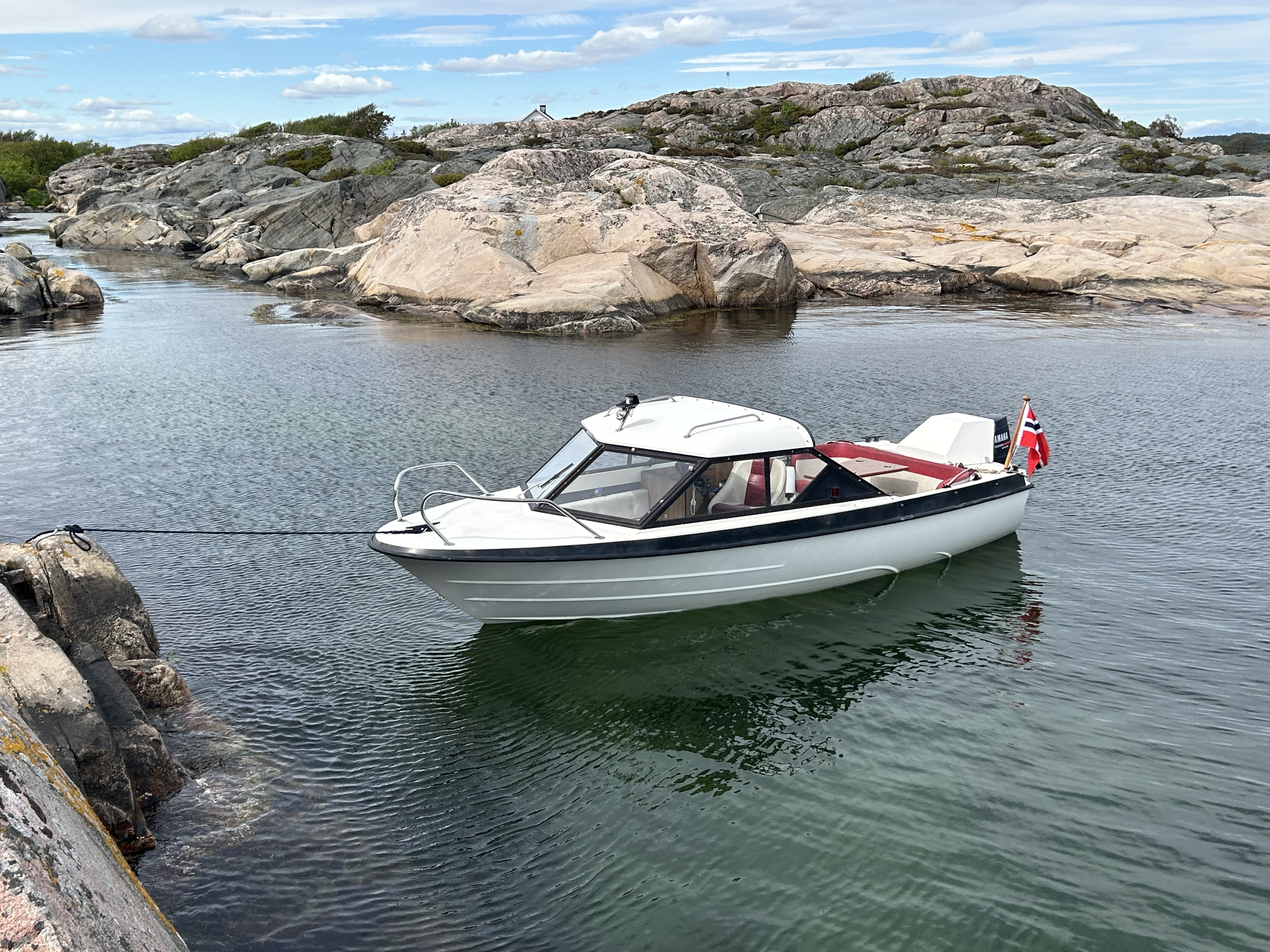 Skateboat