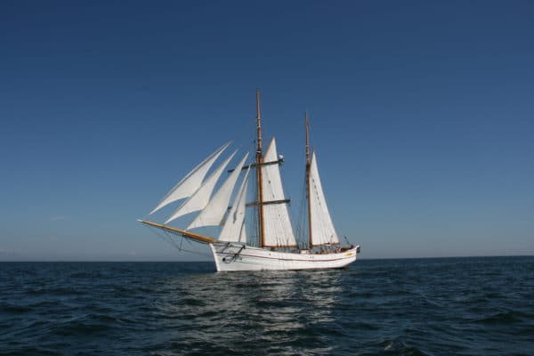 2024 - Loyal har åpen båt fredag kl. 11-16